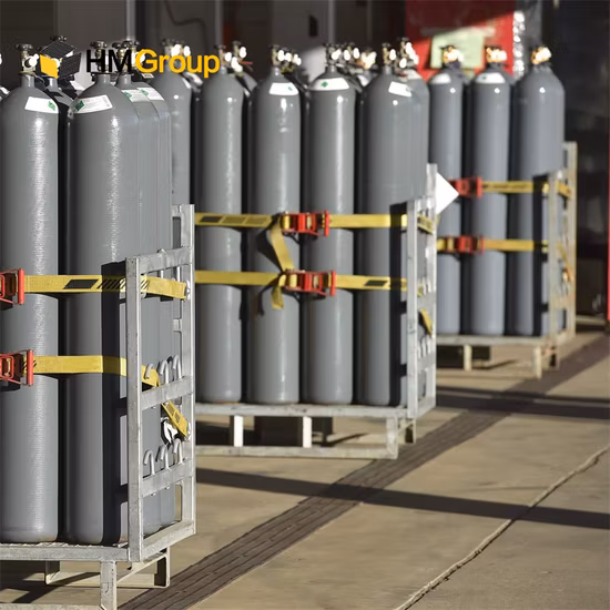 Клетка для хранения газового баллона из оцинкованной стали с пропаном и сжиженным нефтяным газом (горячего погружения)